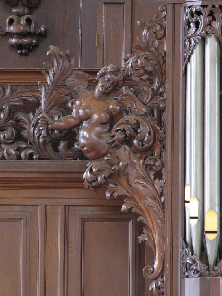 Rugpositief Vleugelstuk zuidzijde