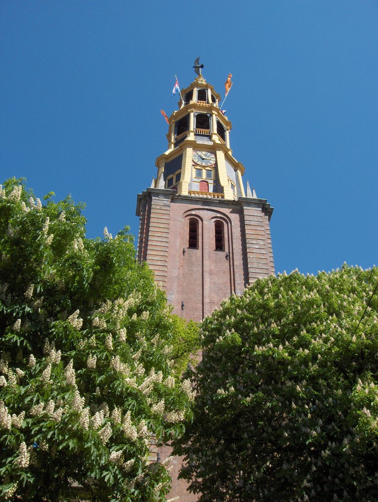 Toren van de Der Aa-kerk te Groningen vanuit het westen