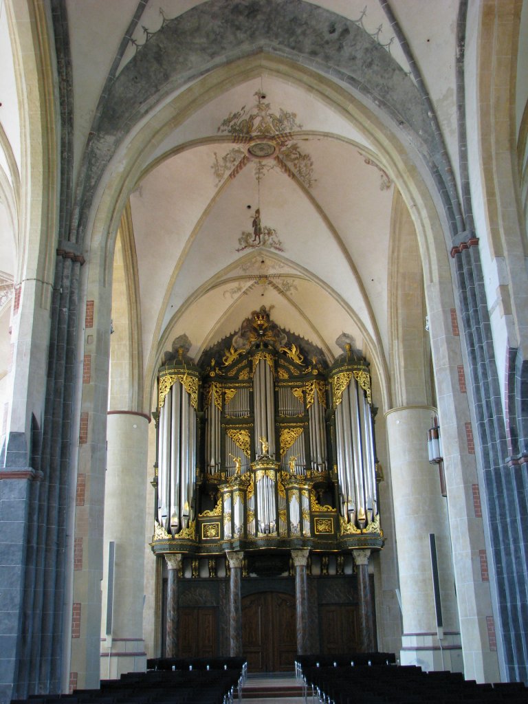 Martinikerk Groningen Omlijsting Gotische Orgel