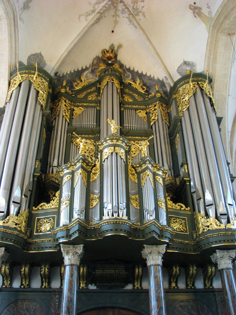 Martinikerk Groningen Rugwerk