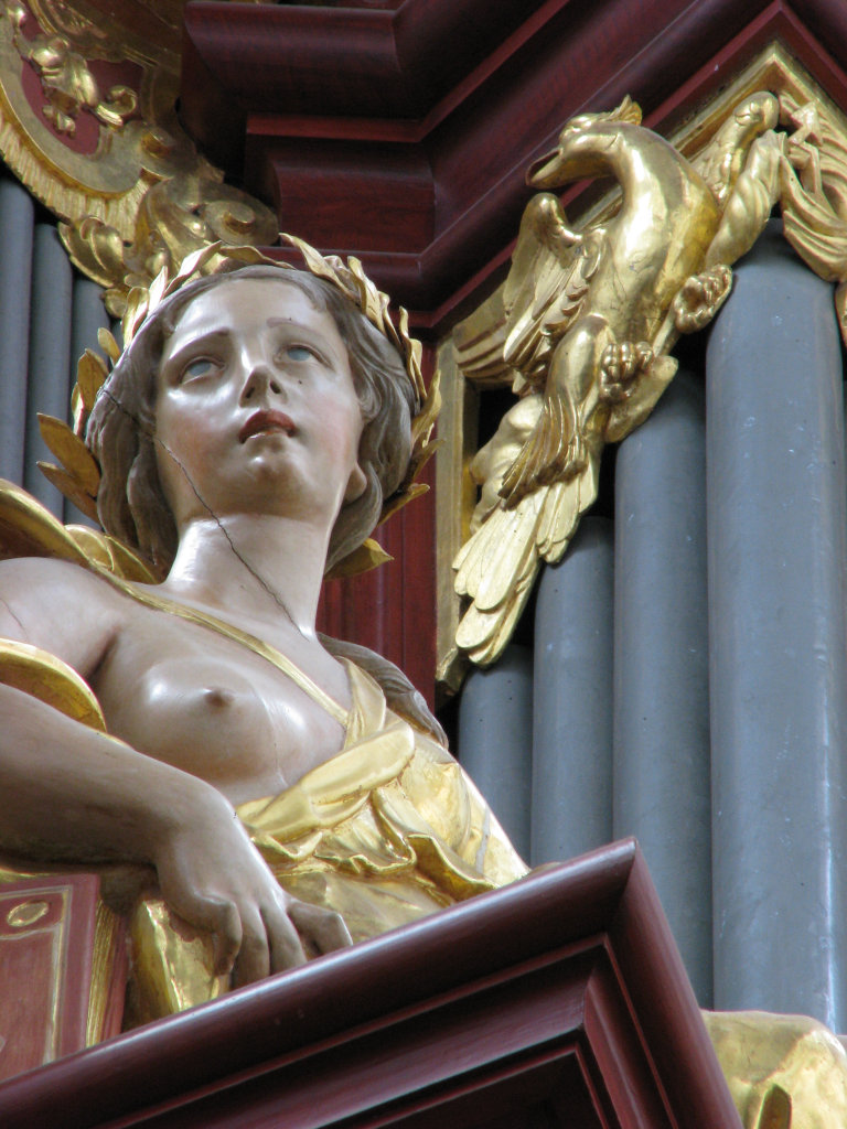 Muze op de noorder spitstoren van het Rugpositief