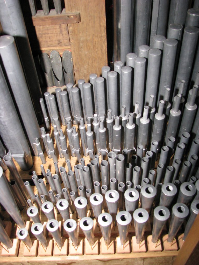 Interieur Rugpositief