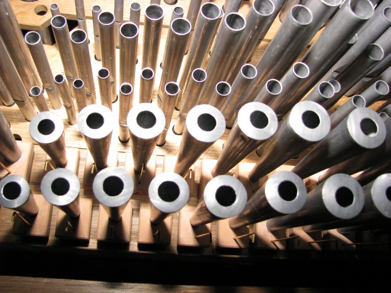 Interieur Rugpositief