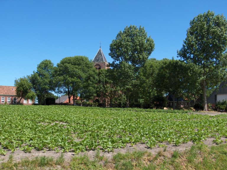 Dorpskerk Krewerd