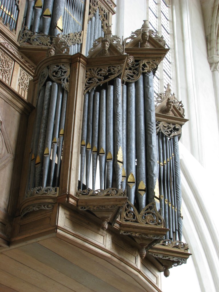 Rugpositief linkerzijde