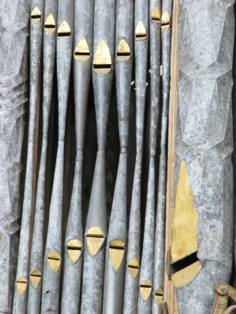 Rugpositief linker toren