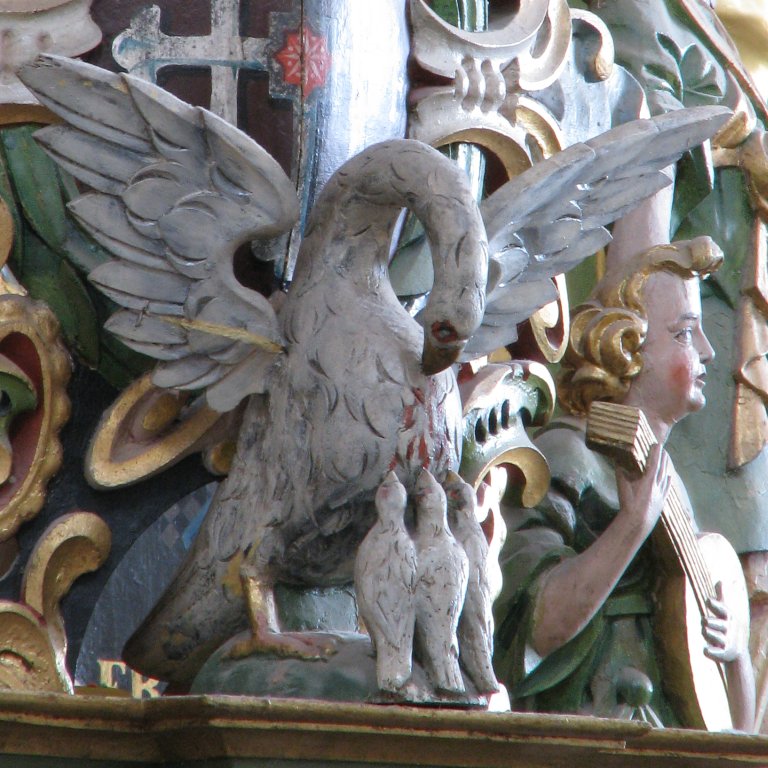 Rugpositief bekroning Pelikaan